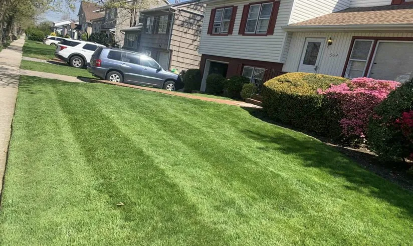 Professional landscape design experts serving Gray Court, SC - Griffins Lawn Care