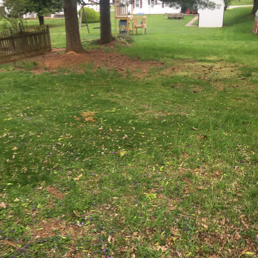 Professional lawn care service experts serving Hagerstown, MD - Griffins Lawn Care