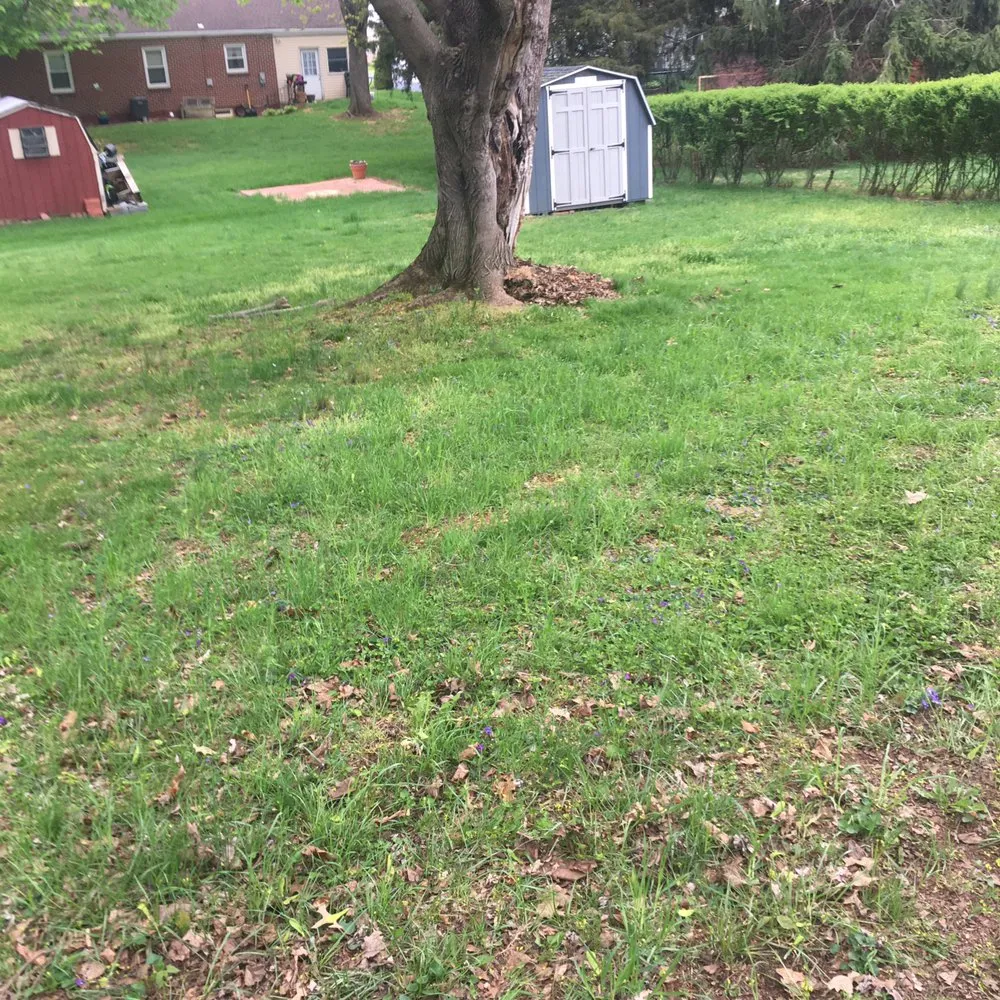 Expert residential landscaping in Hagerstown, MD by Griffins Lawn Care