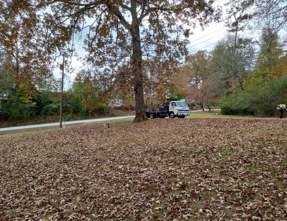 Reliable lawn care service for year-round maintenance in Lula, GA by Griffin's Lawn Care
