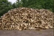 Custom garden landscaping in Council Bluffs, IA by Griffis Tree And Lawn