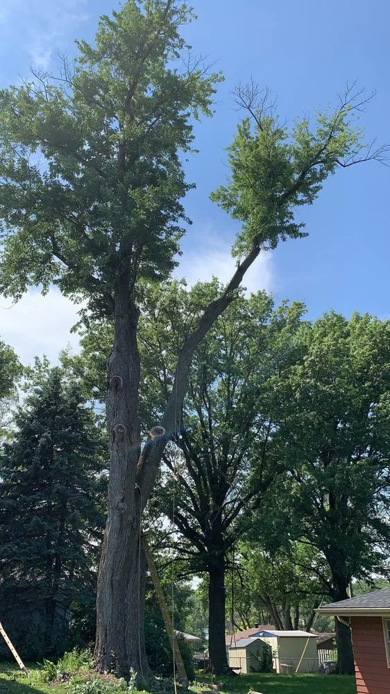 Custom lawn care service for homes across Council Bluffs, IA - Griffis Tree And Lawn