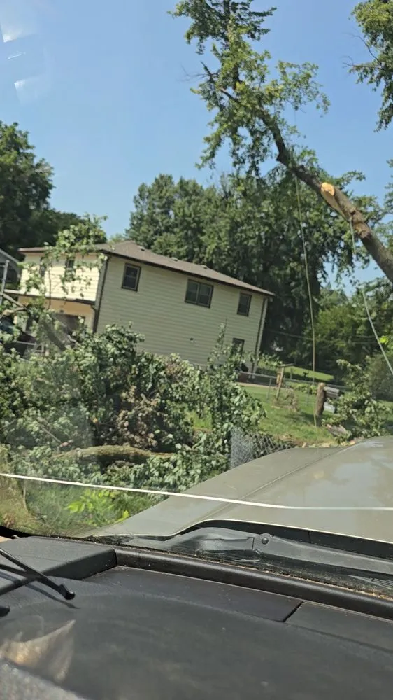 Reliable residential landscaping experts serving Council Bluffs, IA - Griffis Tree And Lawn