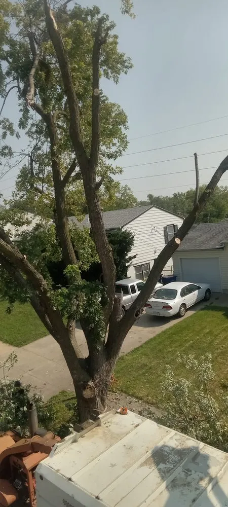 Top-rated yard cleanup service near you in Council Bluffs, IA by Griffis Tree And Lawn