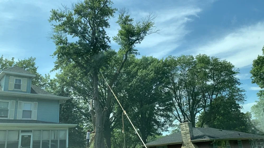 Expert lawn mowing service for year-round maintenance in Council Bluffs, IA by Griffis Tree And Lawn