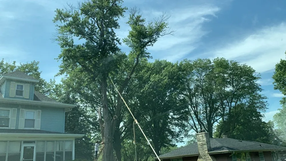 Expert lawn mowing service experts serving Council Bluffs, IA - Griffis Tree And Lawn