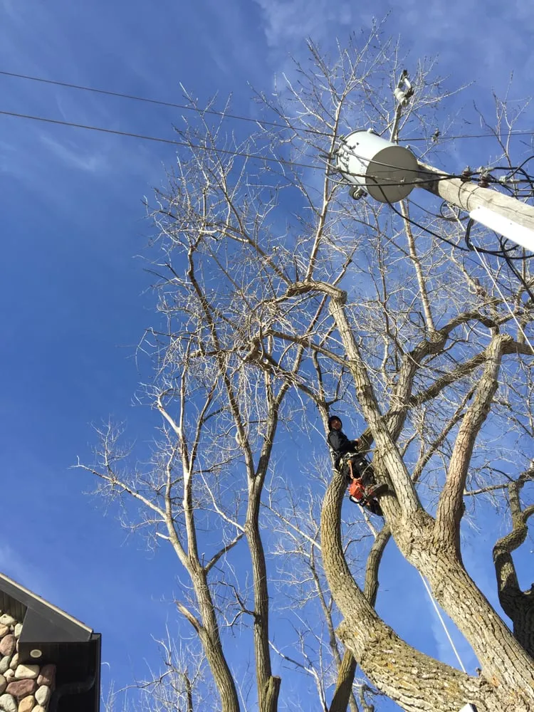 Reliable residential landscaping in Council Bluffs, IA - Griffis Tree And Lawn