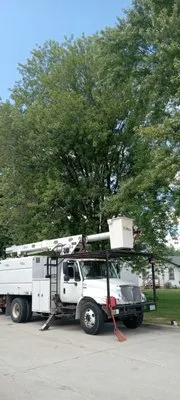 Griffis Tree And Lawn