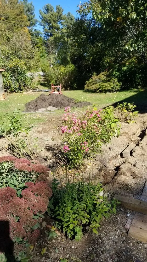 Trusted yard cleanup service in Barrington, NH - Griffith Landscapes