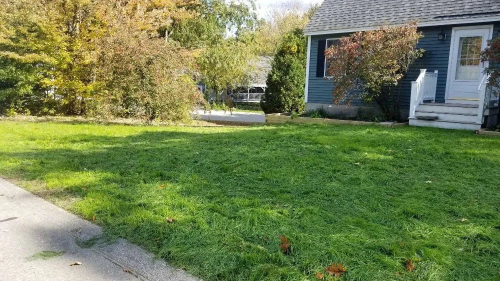 Affordable landscape design experts serving Barrington, NH - Griffith Landscapes