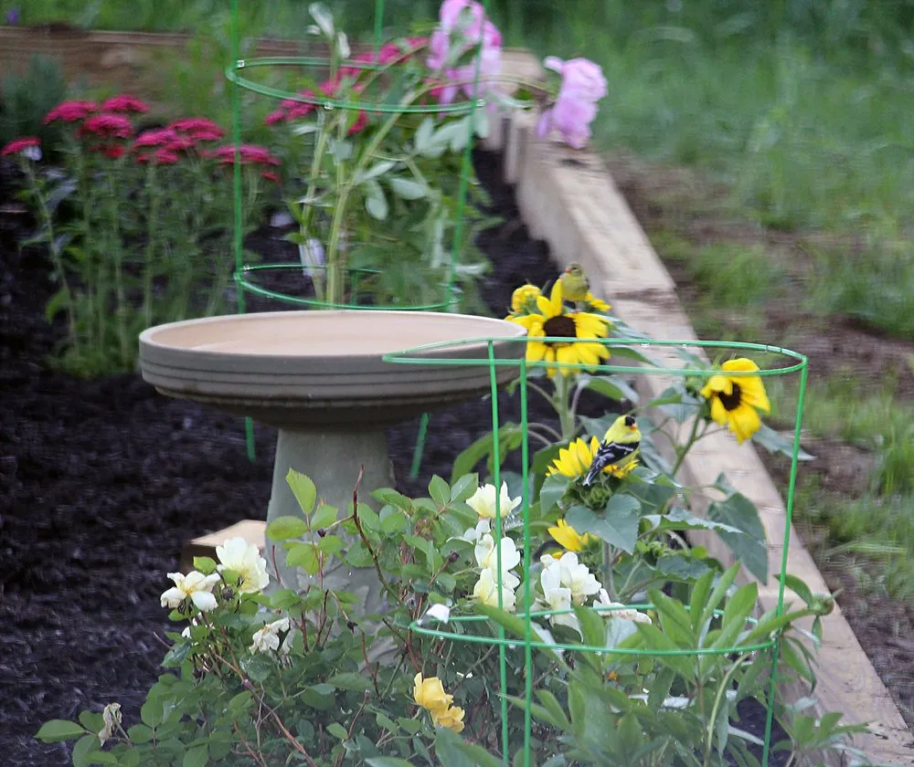 Custom lawn care service for residential properties in Barrington, NH by Griffith Landscapes