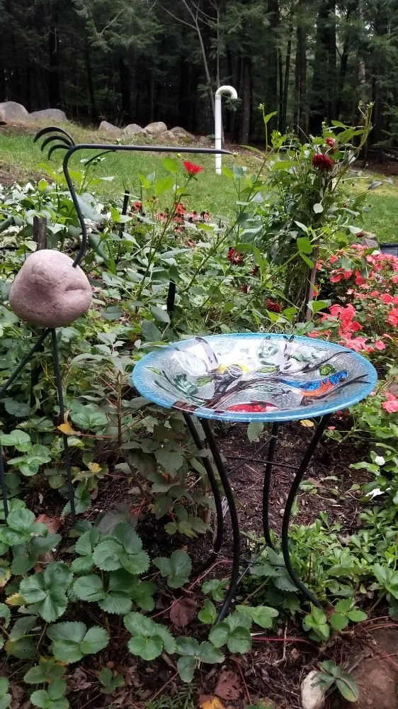 Local yard cleanup service in Barrington, NH - Griffith Landscapes