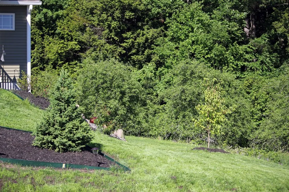 Trusted lawn mowing service in Barrington, NH - Griffith Landscapes