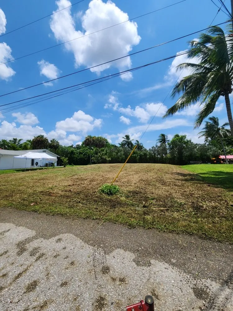 Top-rated landscaping services for year-round maintenance in Bonita Springs, FL by Griffith Lawn Care