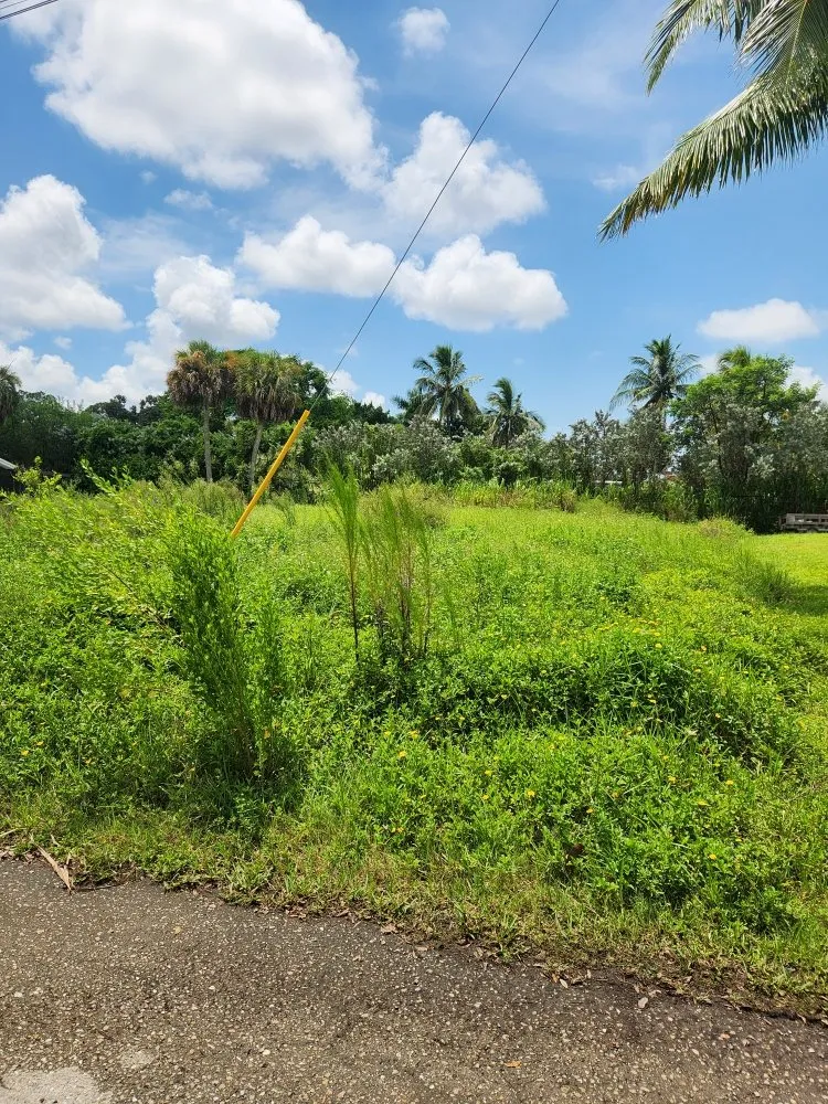 Local yard maintenance for homes across Bonita Springs, FL - Griffith Lawn Care