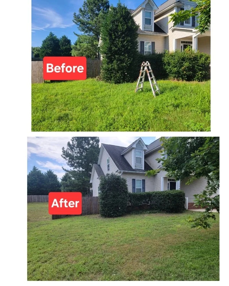Top-rated yard cleanup service for year-round maintenance in Sanford, NC by Griff's Landscaping