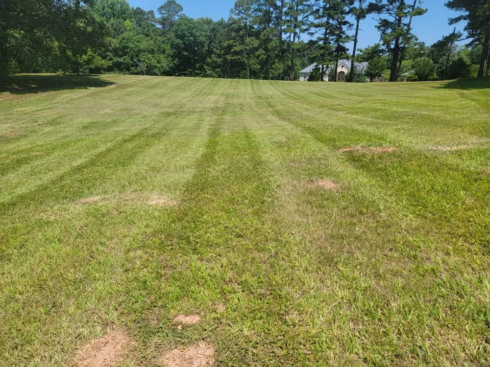 Professional lawn mowing service for beautiful yards in Sanford, NC by Griff's Landscaping