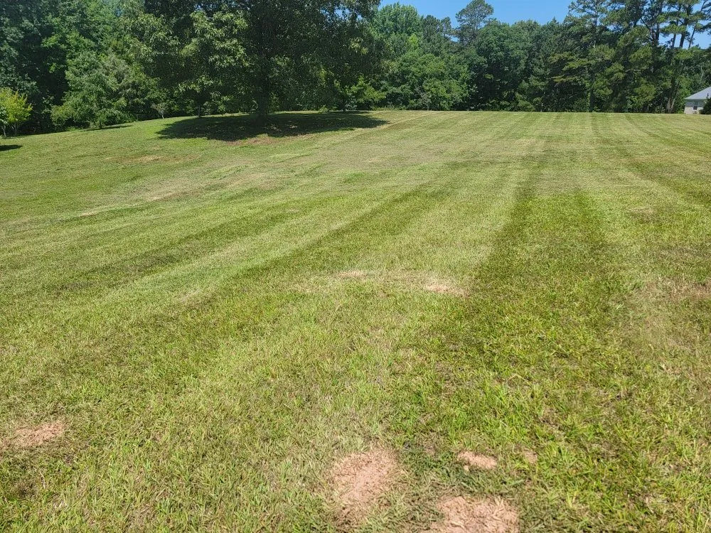 Local landscape design in Sanford, NC by Griff's Landscaping