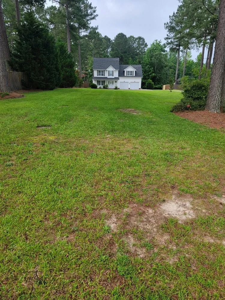 Reliable yard cleanup service experts serving Sanford, NC - Griff's Landscaping
