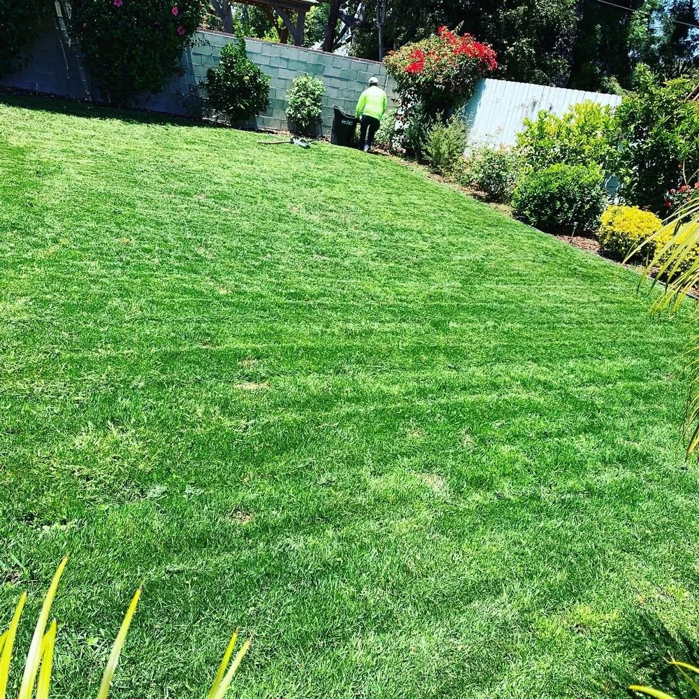 Local landscape installation for outdoor upgrades across Los Angeles, CA - Grijalva’s Lawn Care