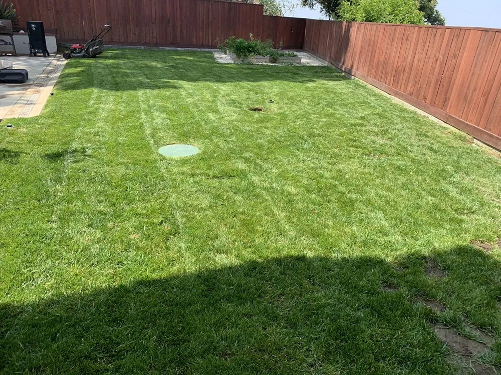 Local landscape design for beautiful yards across Los Angeles, CA - Grijalva’s Lawn Care