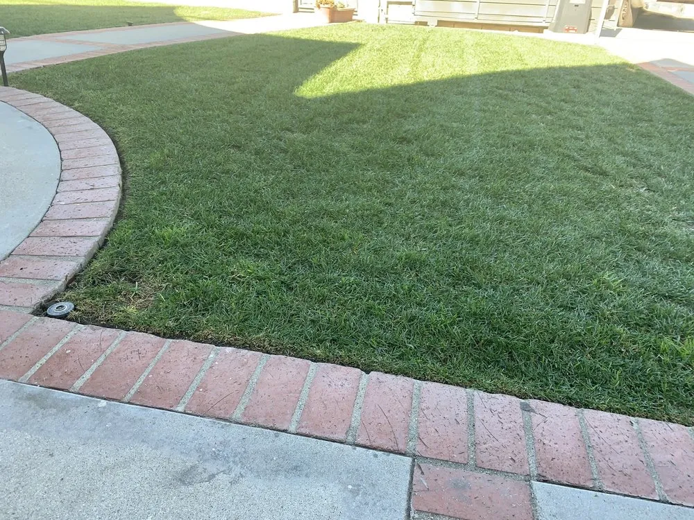 Trusted yard maintenance in Los Angeles, CA by Grijalva’s Lawn Care