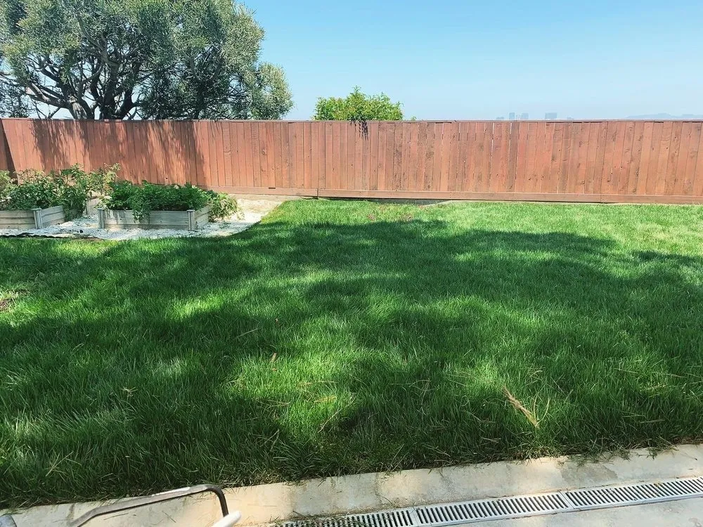 Reliable landscaping services for residential properties across Los Angeles, CA - Grijalva’s Lawn Care