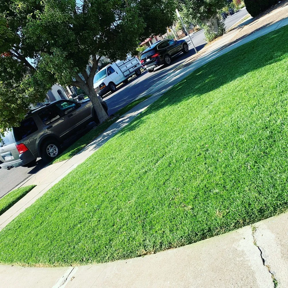 Affordable yard cleanup service for outdoor upgrades in Los Angeles, CA by Grijalva’s Lawn Care