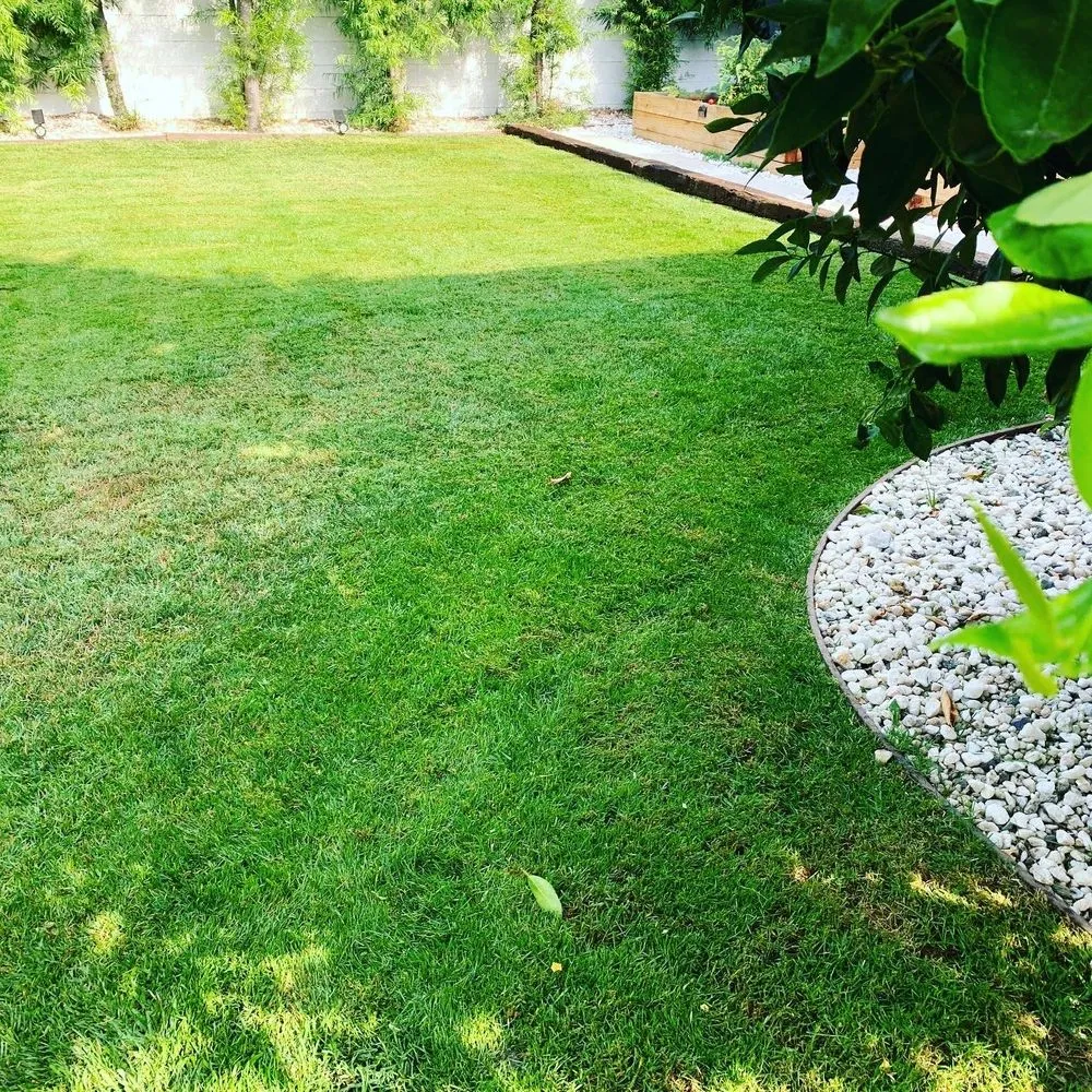 Local landscape installation in Los Angeles, CA - Grijalva’s Lawn Care