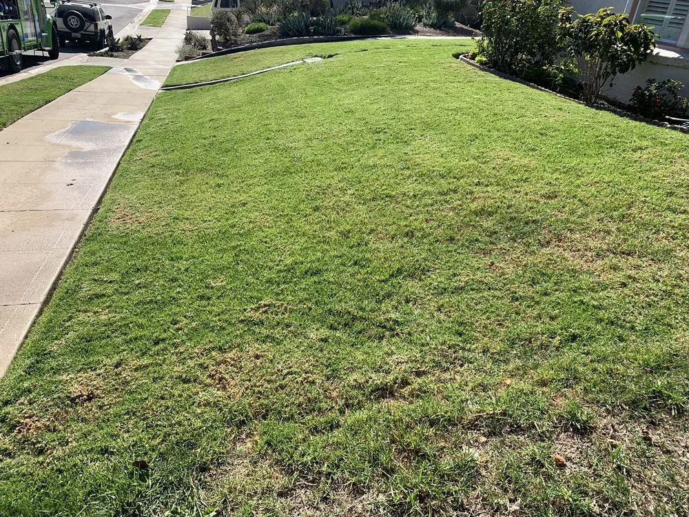 Top-rated yard maintenance in Los Angeles, CA - Grijalva’s Lawn Care