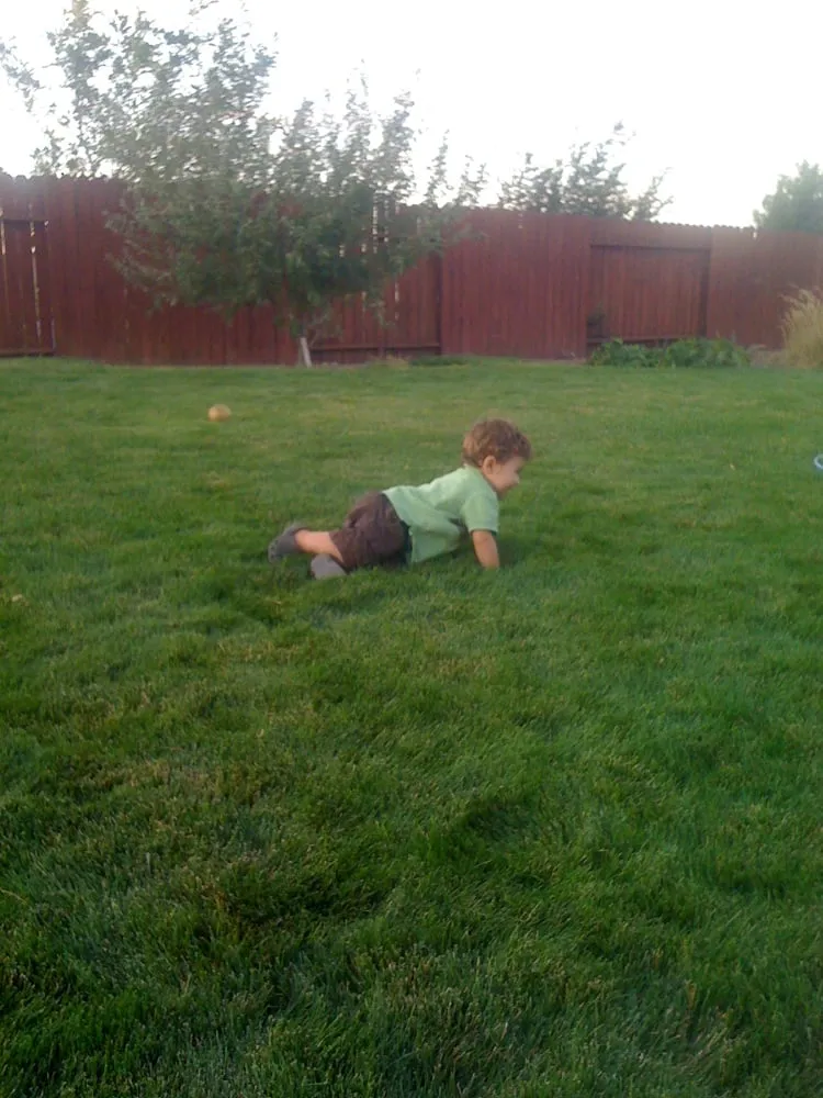 Local landscape design with custom design across Sparks, NV - Grillo Landscape Solutions