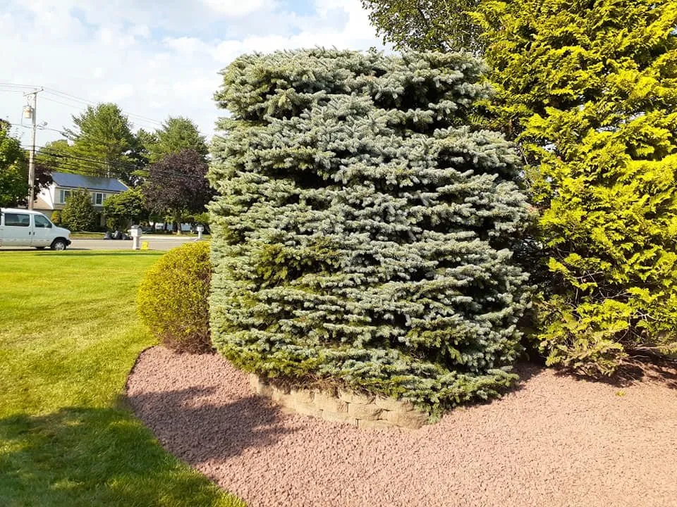 Expert yard maintenance with custom design in Freehold, NJ by Grillon's Landscape and Design