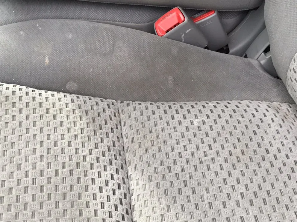 Trusted yard maintenance in Wichita, KS by Grime Fighters