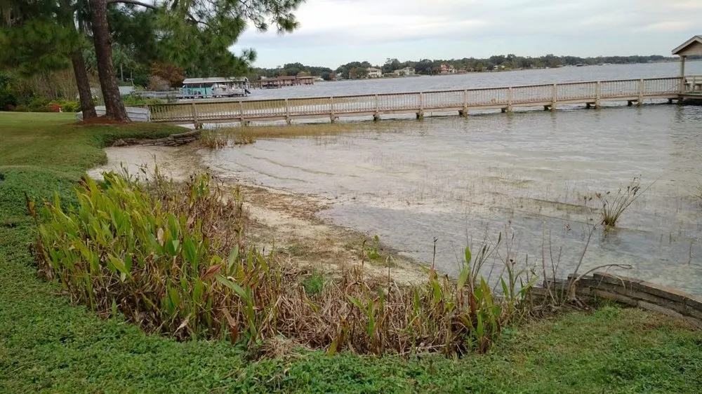 Expert residential landscaping experts serving Oakland, FL - Grimes Conservation Group