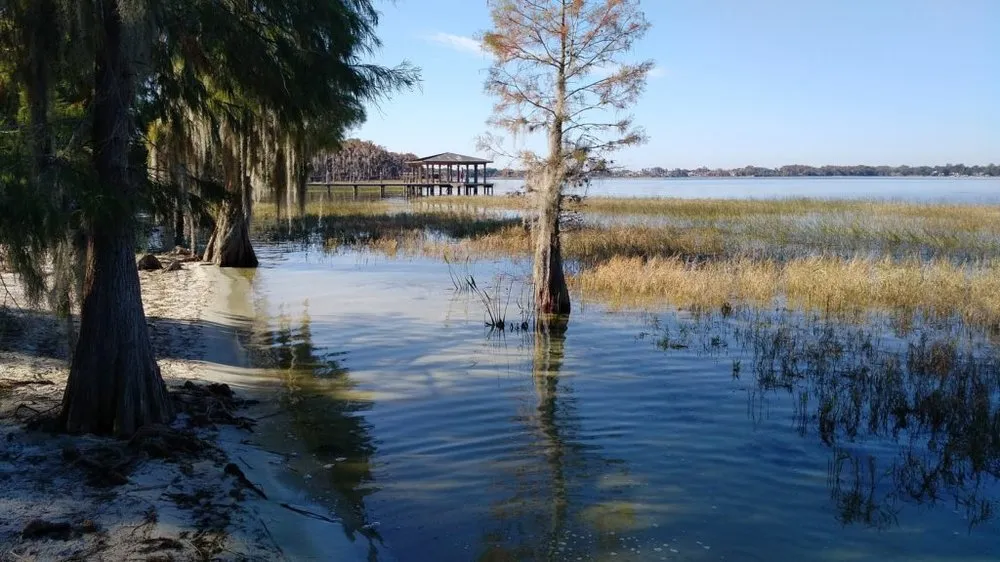 Trusted landscape design in Oakland, FL by Grimes Conservation Group