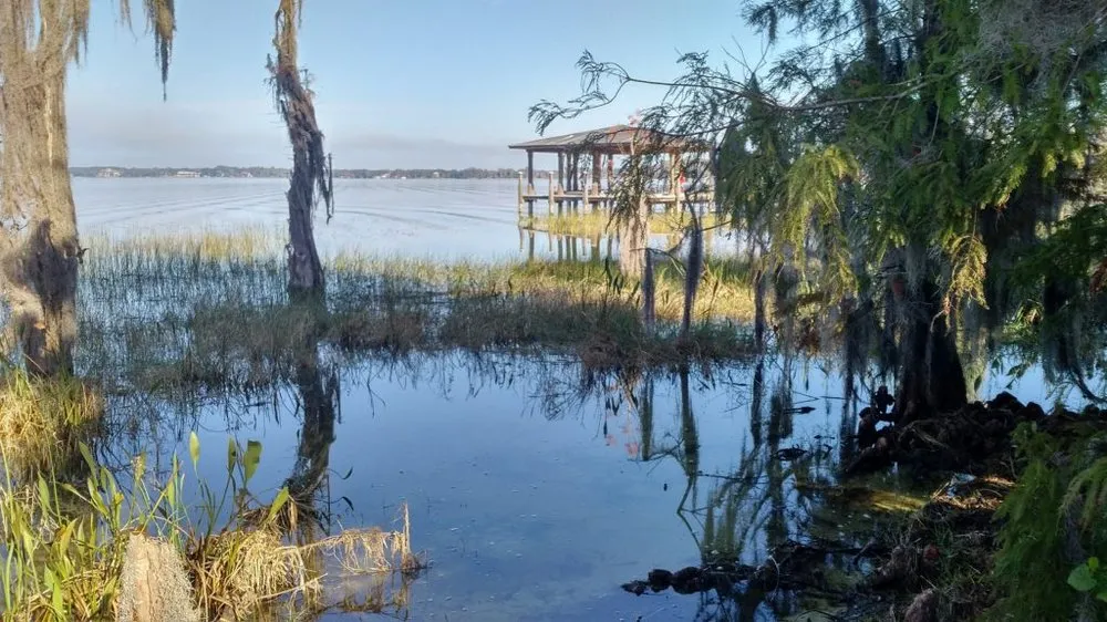 Custom landscaping services for homes across Oakland, FL - Grimes Conservation Group