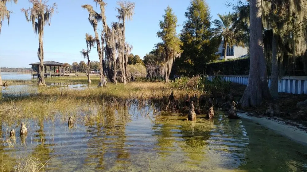 Professional outdoor landscaping in Oakland, FL - Grimes Conservation Group