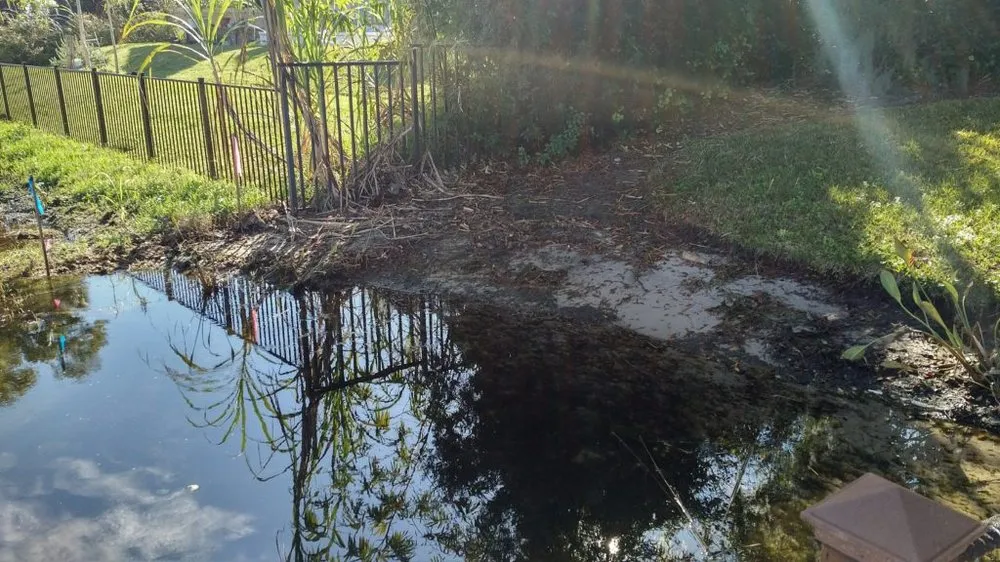 Local yard cleanup service for residential properties in Oakland, FL by Grimes Conservation Group