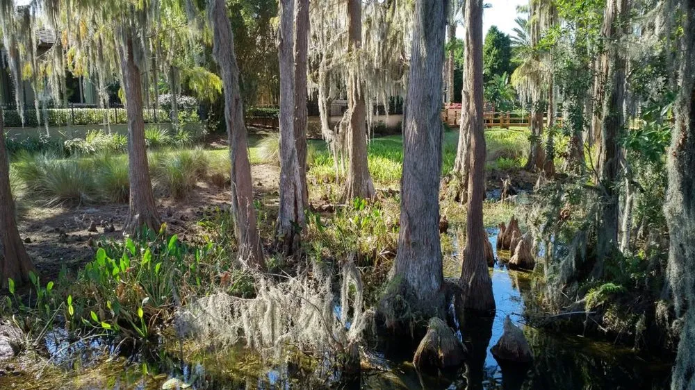 Expert lawn care service for homes in Oakland, FL by Grimes Conservation Group