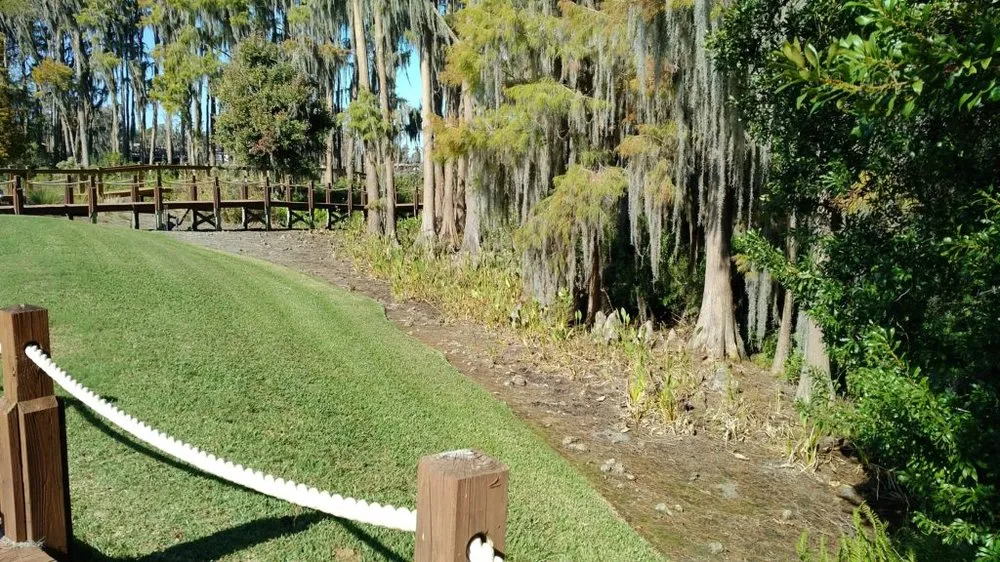 Trusted yard cleanup service for beautiful yards in Oakland, FL by Grimes Conservation Group