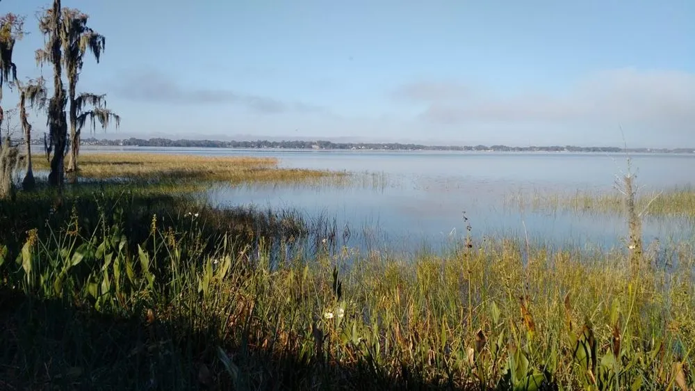 Professional landscape installation experts serving Oakland, FL - Grimes Conservation Group