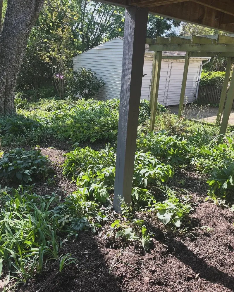 Top-rated yard cleanup service in Danville, VA by Grimes Lawn Service