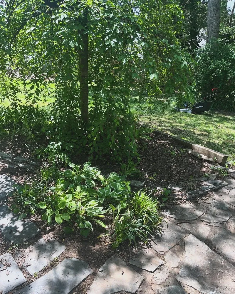 Top-rated lawn mowing service in Danville, VA - Grimes Lawn Service