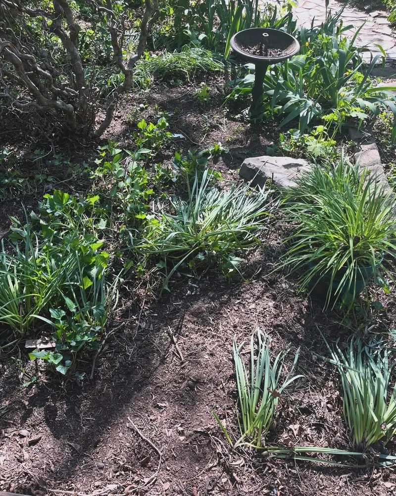 Trusted outdoor landscaping in Danville, VA by Grimes Lawn Service