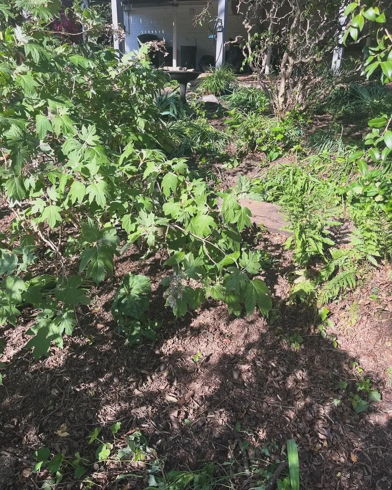 Affordable lawn care service for homes in Danville, VA by Grimes Lawn Service