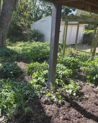 Grimes Lawn Service Logo