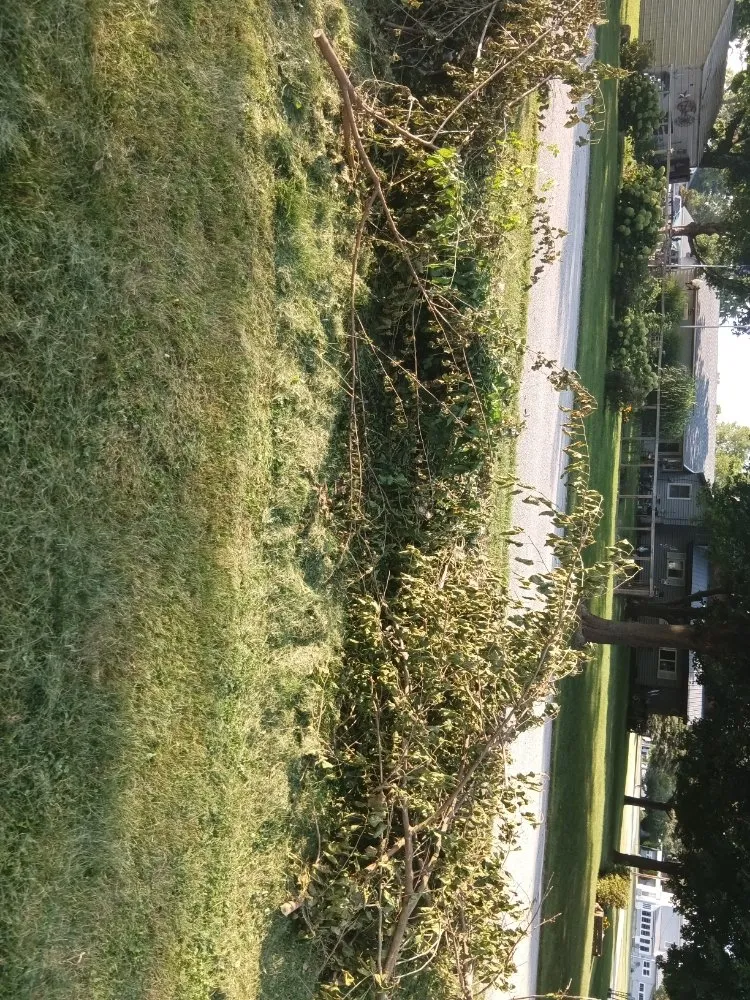 Expert landscape design in Wabash, IN - Grimm Construction and Landscaping