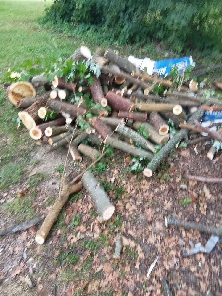 Professional yard maintenance in Wabash, IN by Grimm Construction and Landscaping