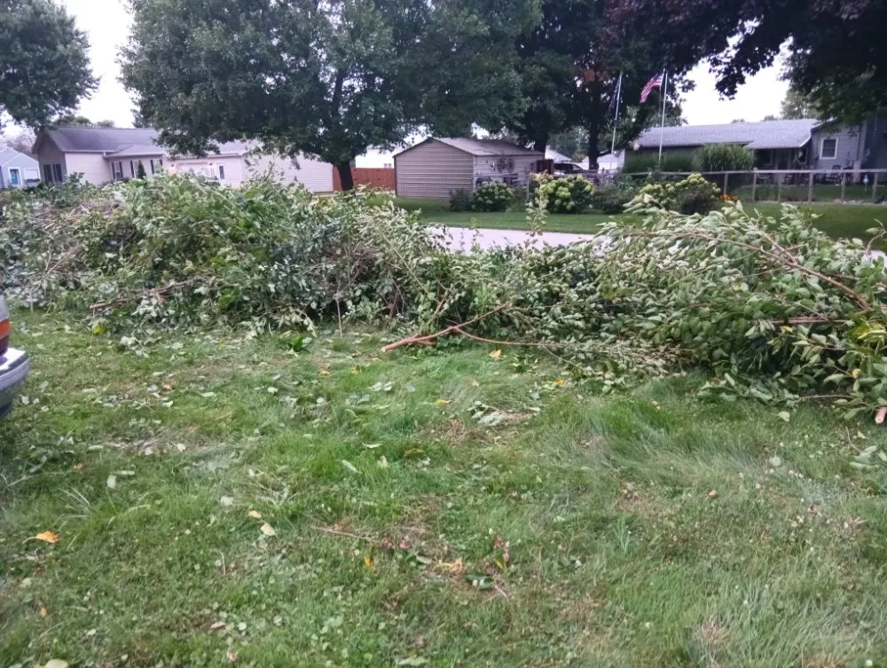 Local yard cleanup service experts serving Wabash, IN - Grimm Construction and Landscaping