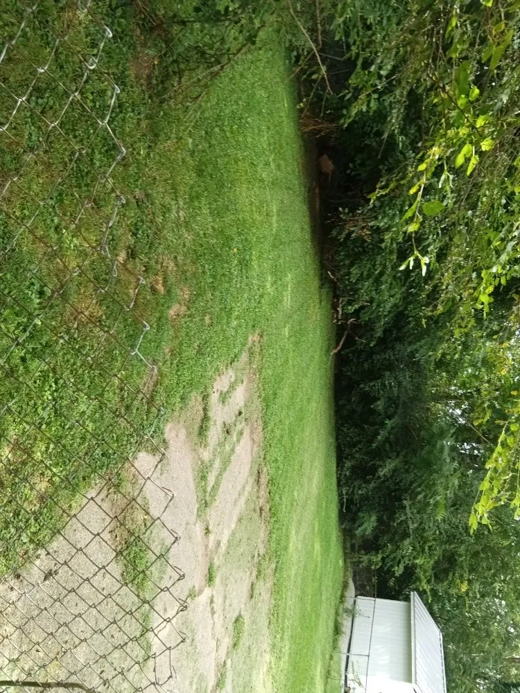 Trusted yard cleanup service for residential properties across Wabash, IN - Grimm Construction and Landscaping